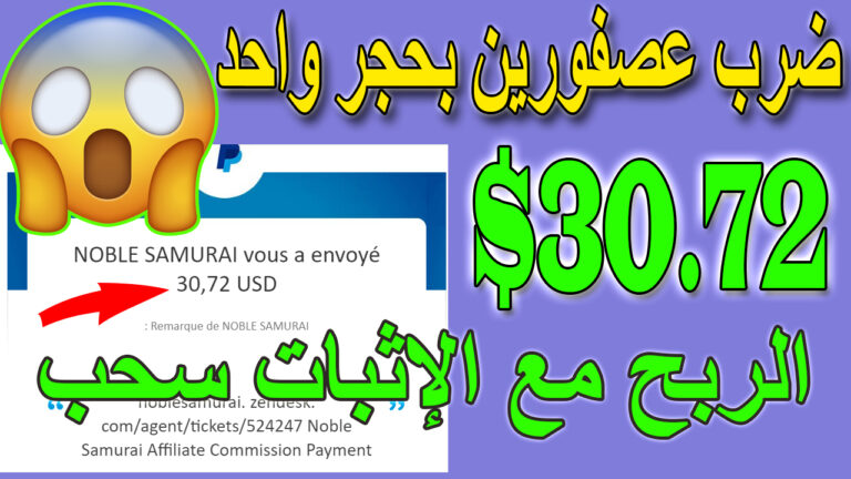 الربح من الانترنت مع اثبات السحب اسهل طريقة للربح من الانترنت للمبتدئين (make money online)