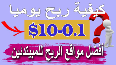 الربح من الانترنت | 10 دولار يوميا | أفضل مواقع الربح للمبتدئين 2021 بدون راس مال