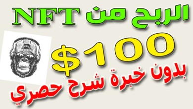 ربح 100 دولار يوميا من nft | للمبتدئين | ربح المال من الانترنت 2022