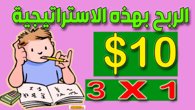 ربح 10 دولار يوميا بدون تعب | ربح المال من الانترنت