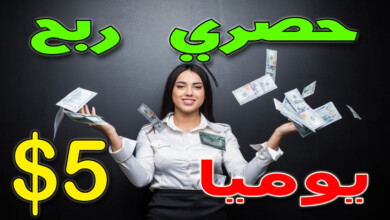 الربح من الانترنت بدون راس مال شرح موقع fivesquid لربح من الخدمات المصغرة