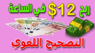 ربح 12 دولار في الساعة الربح من الانترنت بدون راس مال